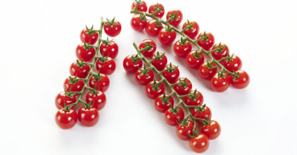 Tomaat cherry star rood bulk 3kg CHERRYSTAR TROSJES