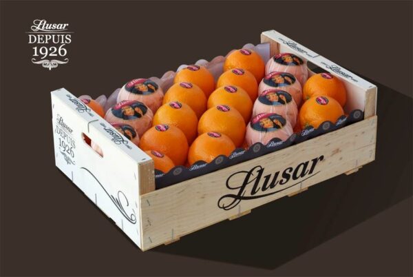 Sinaas eet lussar /kg Llusar appelsien